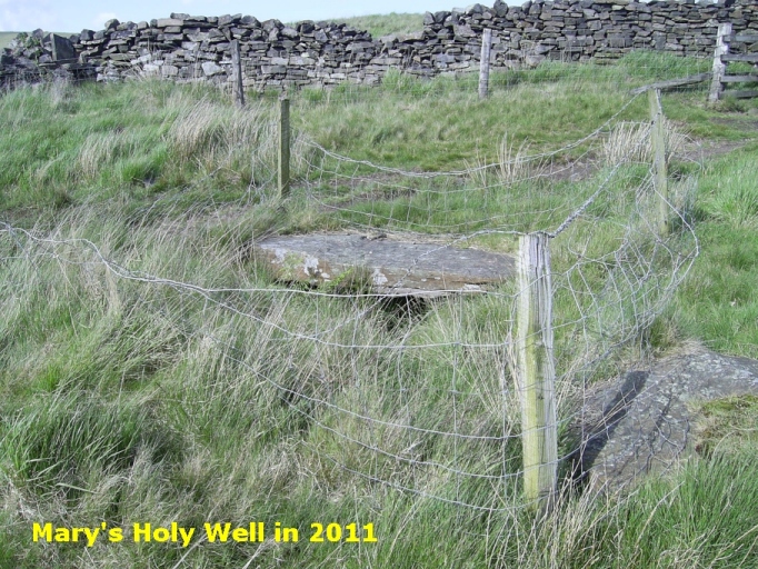 Mary's Holy Well